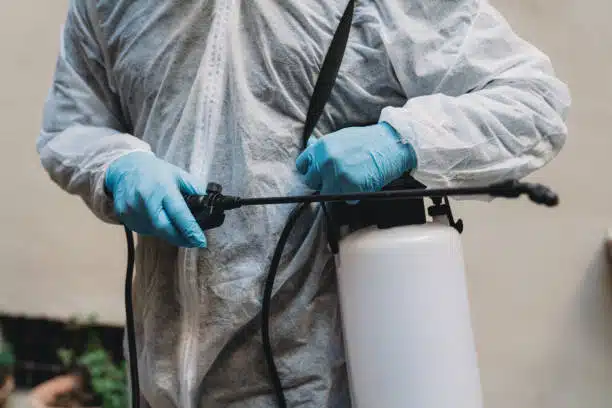 disinfestatore professionale con ozono disinfestazione con ozono professionale