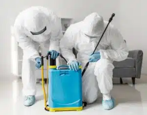 Disinfestazioni cimici da letto Disinfestazioni cimici da letto