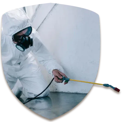 scudo con disinfestatore per servizio di disinfestazioni