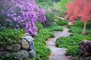 Progettazione giardini progettazione giardini