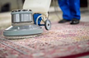 Strumenti pulizia moquette e tappeti Strumenti pulizia moquette e tappeti