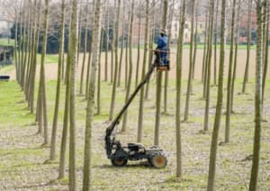 Macchinari potatura alberi fusto alto Macchinari potatura alberi fusto alto