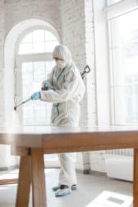 Disinfestazione professionale da termiti del legno Disinfestazione professionale da termiti del legno