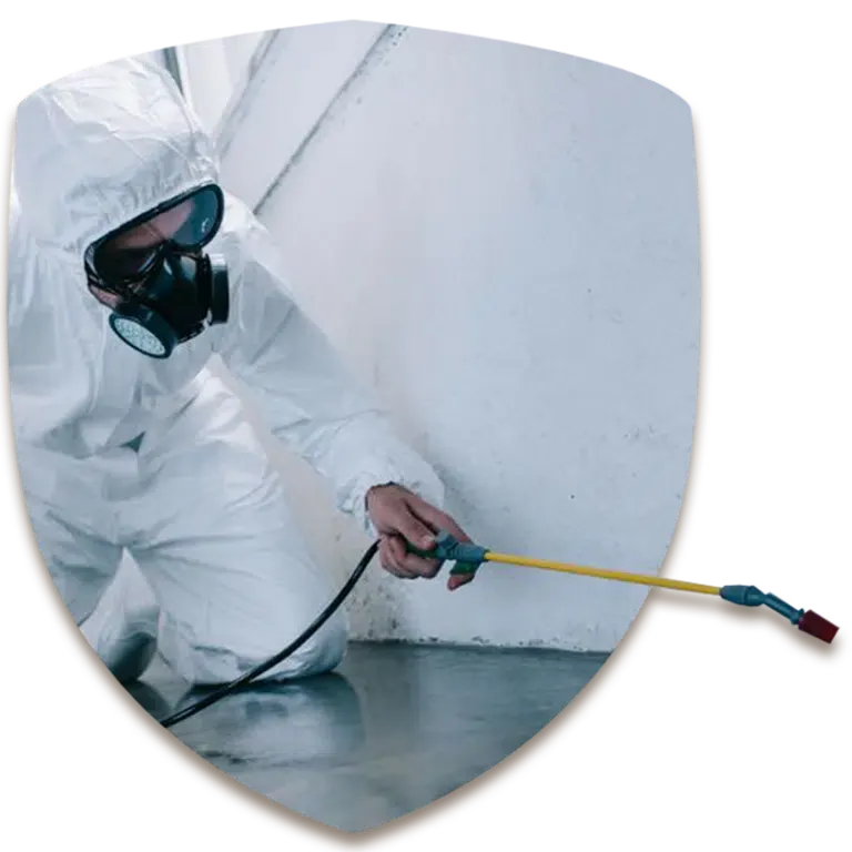 scudo con disinfestatore per servizio di disinfestazioni