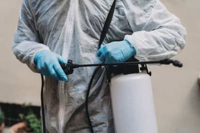 disinfestatore professionale con ozono disinfestazione con ozono professionale