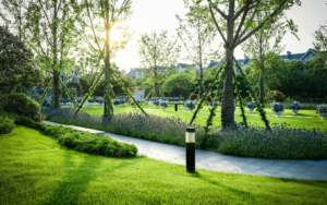 Progettare un giardino Progettare un giardino