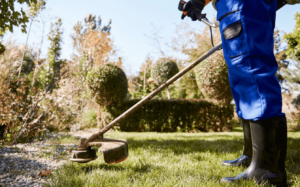 Manutenzione giardini e aree verdi Manutenzione giardini e aree verdi