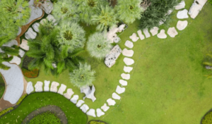 Progettazione giardino Progettazione giardino