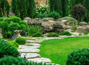 Come sistemare un giardino Come sistemare un giardino
