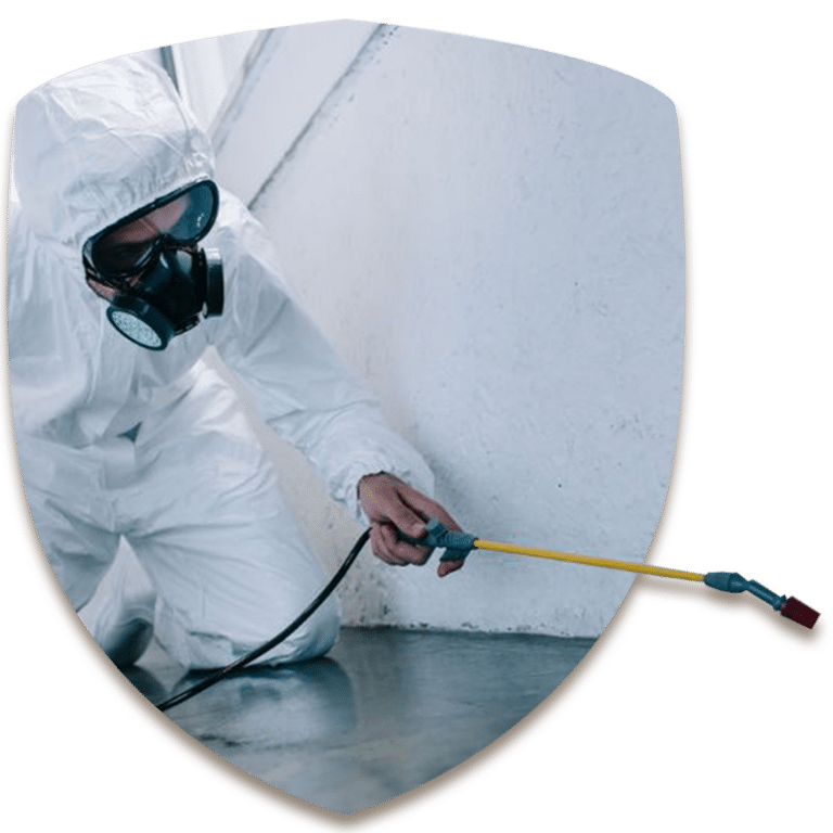 scudo con disinfestatore per servizio di disinfestazioni